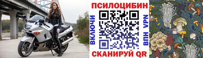 купить наркоту  Вельск  Псилоцибиновые грибы мицелий 