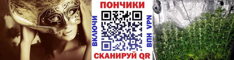 Конопля THC 21% как найти закладки Вельск